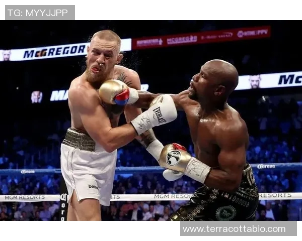 梅威瑟与康纳对决奖金揭秘两位拳手的财富之战与商业价值分析